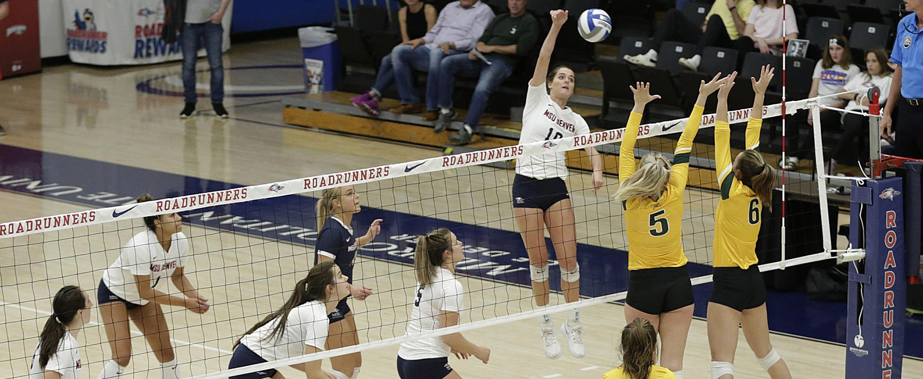 Roadrunners Volleyball Camps Metropolitan State University of Denver